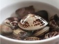 生活習慣病予防にも！ タウリンたっぷりのハマグリ
