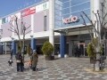 人口動態から探る～若く元気な街はどこ？～神戸市内編