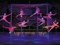 Mystere（ミスティア）／シルク・ドゥ・ソレイユ