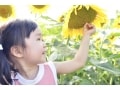 夏生まれの名前246選！女の子&男の子別の夏を表す漢字は？