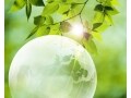 こんな時だからこそ、家計のリスク回避を考えよう
