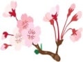 2011春ドラマ：こんな時には明るく前向きに（中編）
