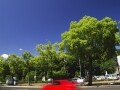 家賃と生活費で毎月いくら？30年後も大丈夫？