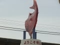 公園、海、市場。休日が待ち遠しい街「明石」（前編）