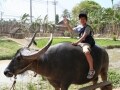 初めての子連れ海外基礎知識