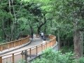 東京の標高を調べる
