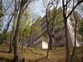 低層マンションの魅力