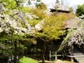 2011年新登録の世界遺産
