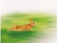 無線LANを高速化するための3つのコツ