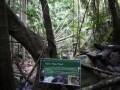 ラミントン国立公園（世界遺産）／ゴールドコースト