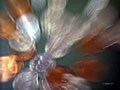 こんな時代のマネー生存戦略～鍵は資産運用？