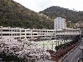 鶯谷中学校