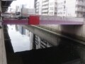 神田川にかかる橋を渡りながら散歩してみました
