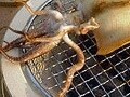 田舎で七輪を使いこなす／料理編