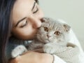 猫ひっかき病の症状は？自然治癒が多いが重症化することも