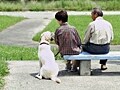 セカンドライフに必要な3つのリフォーム