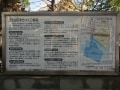 神戸市東灘区～阪神沿線の「まちづくり協定」のある街