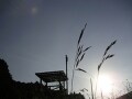 自宅マンションの放射線量は測定済みですか？