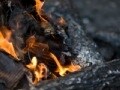 冬だから焼き芋の達人になる