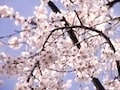大切な人たちがこれ以上命を落とさないように…