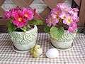 春の模様替えで、ベランダも簡単イメチェン！