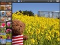 iPadとiOS版iPhotoで写真編集を直感的に楽しもう