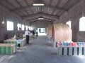 マスキングテープ工場見学ツアー