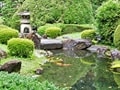 和の庭を楽しむ