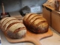 TARUI BAKERY【参宮橋】