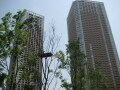 一戸建てVSマンション　マンション住み心地編