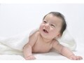 子供に動物の名前が入った名前はあり？