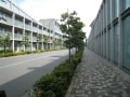 仙川、商店街と大学、安藤建築で人気の街