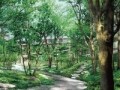 【取材レポート】プラウドシティ元住吉