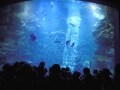 新名所「京都水族館」にはアイドルや遊びがいっぱい