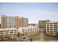 構造形式や階数から見る地震に強いマンションの条件