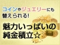 20年間純金積立を継続！毎年コインに等価交換