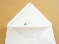 透け感を楽しむレターセット