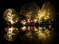 国宝白水阿弥陀堂　紅葉ライトアップのお知らせ