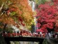 大阪ならでは「秋」の観光スポットと味覚