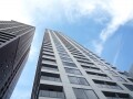付き合いたくないマンションの鳩
