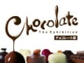 上野・国立科学博物館で「チョコレート展」開催