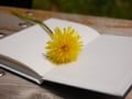 終活のススメ