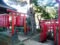 東京・初詣に行きたい金運ご利益スポット2018