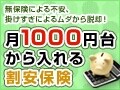 共働き夫婦の妻やガン保障も割安保険で対応可能