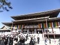 新しい年に願いを込めて、成田山新勝寺の初詣【千葉】