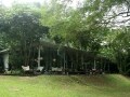 亜熱帯の森の中の癒しカフェ、PS.cafe／シンガポール