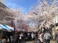 甲府・勝沼の気候・イベント・旬の味覚