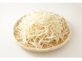 もやしの冷蔵＆冷凍保存術