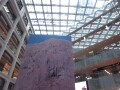 東京駅横に商業施設「KITTE」オープン