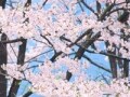 銀座の隠れ家サロンで春の冷え性完全解消！